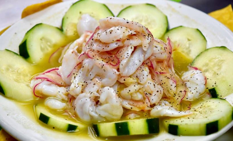 Shrimp aguachile plated with cucumber slices
